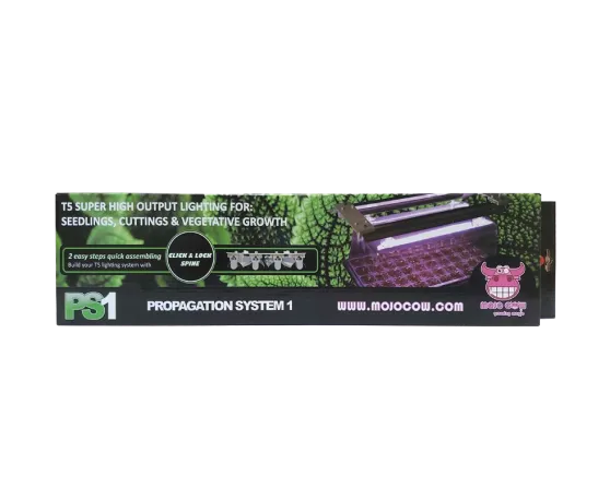 PS1 PROPAGATION LIGHT SYSTEM